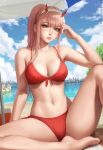  bikini cleavage darling_in_the_franxx mirco_cabbia swimsuits zero_two_(darling_in_the_franxx) 