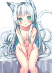  1girl :o animal_ears aqua_eyes asa_no_ha_(awayuki) breasts cat_ears cat_girl cat_tail completely_nude highres long_hair medium_breasts multicolored_hair nude original silver_hair sitting sketch tail very_long_hair 