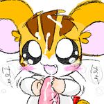  hamtaro sandy tagme 