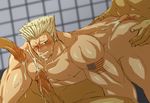  guile street_fighter tagme 