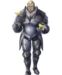  armor benny_(fire_emblem) fire_emblem fire_emblem_if nintendo 