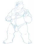  2018 anthro badger belly bravo bulge clothing eyewear genitals glasses harness hi_res humanoid_hands male mammal mature_male mustelid musteline overweight overweight_male penis simple_background sketch solo underwear white_background 