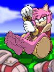  amy_rose anthro barefoot eulipotyphlan feet female foot_focus fur hammer hedgehog hi_res looking_at_viewer mammal pink_body pink_fur sega soles solo sonic_the_hedgehog_(series) sorcererlance toes tools 