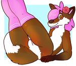  abstract_background alpha_channel anthro ashley_(ashleythefox) brown_body brown_eyes brown_fur canid canine clothing crowdud3 female flower fox fur genitals hair hi_res legwear looking_at_viewer mammal pink_hair plant presenting pussy rose_(flower) simple_background solo thigh_highs transparent_background 