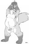  2017 anthro balls belly bound bravo canid canine disney erection fox genitals gideon_grey hi_res humanoid_hands male mammal moobs navel nipples overweight overweight_male penis rope simple_background solo white_background zootopia 