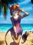  anhmaru anthro beach blue_eyes bulge clothed clothing crossdressing dipodid gesture girly hi_res jerboa looking_at_viewer male mammal one-piece_swimsuit one_eye_closed palm_tree plant rodent sand sea seaside solo swimwear tail_tuft tree tuft v_sign water whiskers 