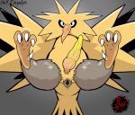  4_toes animal_genitalia anus avian beak big_penis bird butt claws digital_media_(artwork) erection feathers feet feral genitals grey_anus hi_res legendary_birds legendary_pok&eacute;mon legendary_trio looking_at_viewer male nintendo penis pok&eacute;mon pok&eacute;mon_(species) presenting puffy_anus rapistwerewolf simple_background soles solo spread_legs spreading toes vein veiny_penis video_games wings yellow_body yellow_penis zapdos 