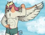  animal_humanoid anthro armpit_hair avian avian_humanoid beak biceps big_breasts bird bird_humanoid body_hair breasts clothed clothing digital_media_(artwork) feathered_wings feathers hi_res humanoid male muscular muscular_male nate_foster nintendo nipples non-mammal_breasts open_mouth pidgeot pok&eacute;mon pok&eacute;mon_(species) red_eyes sex simple_background smile solo video_games wings 