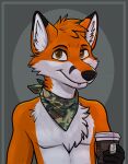  2021 anthro beverage black_nose brown_eyes canid canine clothed clothing cup digital_media_(artwork) dipstick_ears fox fur hi_res holding_cup holding_object inner_ear_fluff looking_at_viewer male mammal multicolored_ears neckerchief orange_body orange_fur savaj_bunny simple_background solo tea topless tuft whiskers white_body white_fur 