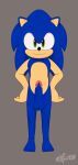  2021 anthro balls black_nose blue_hair digital_media_(artwork) erection eulipotyphlan excito front_view full-length_portrait genitals green_eyes grey_background hair hands_on_hips hedgehog hi_res looking_at_viewer male mammal nude penis portrait sega signature simple_background solo sonic_the_hedgehog sonic_the_hedgehog_(series) standing 