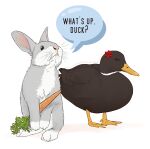  anatid annoyed annoyed_expression anseriform avian bird bugs_bunny carrot daffy_duck duck duo feral food holding_object kumagorochan lagomorph leporid looney_tunes male mammal plant rabbit realistic simple_background standing vegetable warner_brothers white_background 