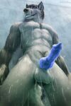  2021 animal_genitalia animal_penis anthro athletic athletic_anthro athletic_male balls biceps black_nose blue_eyes blue_penis canid canine canine_penis canis chest_tuft digital_media_(artwork) english_text erection fur genitals glistening glistening_genitalia glistening_penis grey_body grey_fur hi_res knot low-angle_view male mammal multicolored_body multicolored_fur navel nude pecs penis shower smile solo standing teeth teeth_showing text tuft url virtyalfobo wet wet_body wet_fur whiskers 