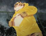  2021 anthro balls barely_visible_balls barely_visible_genitalia belly blush clothing coat felid genitals humanoid_hands kemono male mammal moobs nipples overweight overweight_male pantherine penta002 raincoat raining solo tiger topwear 