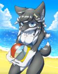  anthro ball beach beach_ball big_breasts bikini blue_sclera breasts canid canine chest_tuft clothed clothing cloud dark_body dark_fur detailed_background digital_media_(artwork) female fur hair hi_res inflatable kemono looking_at_viewer mammal outside pool_toy sand sea seaside sky smile solo squish swimwear tuft wantwo water white_body white_fur 