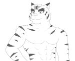  abs anthro black_and_white felid hand_on_hip intoxicated-lynx looking_away male mammal monochrome morenatsu pantherine pecs simple_background smile solo standing tiger torahiko_(morenatsu) video_games visual_novel 