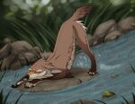  2020 amphibian ass_up birrrrrrrrb brown_body brown_fur canid canine canis claws detailed_background digital_media_(artwork) duo feral frog fur grass hi_res mammal nude outside paws plant quadruped river wolf 
