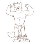  anthro barefoot briefs canid canine canis clothed clothing feet flexing_muscles heyitscousindave male mammal monochrome muscular muscular_male nipples pants_down partially_clothed simple_background sketch smile solo teeth_showing topless underwear white_background wolf 