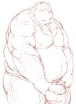  2021 anthro asian_clothing balls belly blush clothing clothing_aside east_asian_clothing edit fundoshi fundoshi_aside genitals hi_res japanese_clothing kemono kotobuki male mammal moobs nipples overweight overweight_anthro overweight_male penis simple_background sketch solo uncensored underwear underwear_aside ursid white_background 