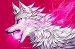  2021 absurd_res ambiguous_gender canid canine canis digital_media_(artwork) feral fur headshot_portrait hi_res mammal myarukawolf open_mouth pink_eyes portrait red_background simple_background solo teeth white_body white_fur wolf 