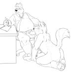  2015 anthro balls belly bravo canid canine canis clothing coyote duo erection eyewear genitals glasses male male/male mammal monochrome necktie oral overweight overweight_male penis procyonid raccoon shirt simple_background sitting sketch student teacher teacher_and_student topwear white_background 