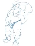  2018 anthro balls_outline belly bravo bulge clothed clothing erection erection_under_clothing genital_outline hat headgear headwear hi_res humanoid_hands male mammal mephitid moobs navel nipples overweight overweight_male penis_outline simple_background skunk solo underwear white_background 