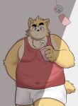  2021 absurd_res anthro belly bottomwear brown_body brown_fur canid canine canis clothing domestic_dog fur hi_res humanoid_hands kemono male mammal moobs overweight overweight_male sakisukem shirt shorts simple_background solo tank_top topwear 