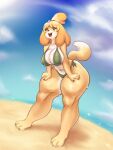  absurd_res animal_crossing anthro beach big_breasts bikini breasts canid canine canis cleavage clothed clothing domestic_dog female hi_res isabelle_(animal_crossing) mammal nintendo nipple_outline seaside shih_tzu side-tie_bikini solo swimwear toy_dog ttothep_arts video_games wide_hips 