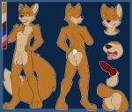  absurd_res anthro balls blue_eyes butt canid canine fox fur genitals hi_res invalid_tag king(@itskingaroo) knot male mammal model_sheet nude one_eye_closed smile solo timelord tongue wink 