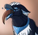  &lt;3 2021 absurd_res ambiguous_gender ambiguous_pred anthro anthro_pred anthro_prey avian beak bird black_body black_eyebrows black_eyes black_feathers blue_kerchief blue_neckerchief blue_sclera blush bodily_fluids brown_body brown_fur brown_tail corvid digital_media_(artwork) drooling duo eyebrows fang_(magpie_magnetism) feathers flustered flynn_(chawkolate) fur grey_beak head_first hi_res kerchief kerchief_only lutrine magpie_(corvid) magpie_magnetism male male_focus male_pred mammal mostly_nude multicolored_body multicolored_feathers mustelid neckerchief neckerchief_only open_beak open_mouth oral_vore oscine passerine saliva shaded side_view simple_background soft_vore solo_focus swallowing tan_background two_tone_body two_tone_feathers vore white_body white_feathers 