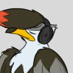  animated avian beak bird dancing ferrissimulator head_bobbing headphones invalid_tag male music nintendo pok&eacute;mon pok&eacute;mon_(species) solo staraptor video_games 