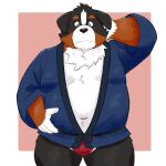  2021 anthro asian_clothing belly bernese_mountain_dog black_body black_fur black_nose brown_body brown_fur canid canine canis clothing domestic_dog east_asian_clothing fundoshi fur happi_(clothing) hi_res humanoid_hands japanese_clothing kemono male mammal molosser mountain_dog navel overweight overweight_male red_clothing red_fundoshi red_underwear solo swiss_mountain_dog underwear white_body white_fur yaki_atsuage 