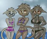  albion_alabaster anthro basitin bikini bongok clothing crossgender cute_face eyewear female gender_transformation general_armstrong glasses group muscular nickolai_alaric pinup pose swimwear transformation twokinds webcomic 