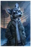  2020 absurd_res anthro black_nose blue_eyes border canid canine clothed clothing detailed_background fluffy hands_in_pockets hi_res hoodie jacato looking_at_viewer male mammal outside pockets raining solo standing text text_on_clothing topwear tower whiskers white_border 