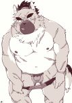  2021 anthro balls belly canid canine canis clothing domestic_dog edit flaccid genitals hi_res kemono male mammal navel overweight overweight_anthro overweight_male penis pubes rudolph_trnd scar simple_background solo tokyo_afterschool_summoners uncensored underwear video_games white_background yasuyori 