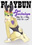  absurd_res anthro antlers butt clothed clothing crossdressing fur girly hair hi_res horn jackalope lagomorph levi_jackalope lgbt_pride looking_at_viewer male male/male mammal playbun pride_colors queerly_kh rainbow rainbow_flag rainbow_pride_flag rainbow_symbol simple_background solo submissive 
