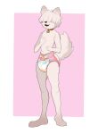  abigail_(octojo) anthro canid canine collar diaper female hi_res mammal octojo padded padding solo 