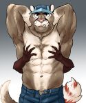  abs ailurid andre_(chirenbo) anthro baseball_cap biceps bottomwear chirenbo clothed clothing cougar digital_media_(artwork) felid feline fur group hand_on_chest hat headgear headwear hi_res male mammal mao_(chirenbo) muscular muscular_anthro muscular_male nipples pecs red_panda simple_background topless 