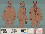  2018 anthro balls belly bravo brown_body brown_fur chastity_cage chastity_device collar eyewear flaccid fur genitals glasses hyaenid male mammal mlae model_sheet moobs nipples overweight overweight_male penis small_penis solo 