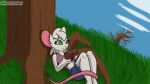  16:9 2d_animation animated anthro arcatech book girly grass happy hi_res invalid_tag lying male male_(lore) mammal mouse murid murine plant rat reading reading_book reggie_(whygena) river rodent roots short_playtime solo tagme tail_wiggle tree widescreen 
