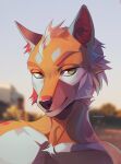  2019 anthro blurred_background canid canine digital_media_(artwork) eyebrows fur green_eyes headshot_portrait hi_res inner_ear_fluff male mammal orange_body orange_fur outside portrait sky solo tuft unknowhiter white_body white_fur 