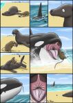  ! ambiguous_gender beach black_body black_skin blue_eyes brown_body brown_fur cetacean cloud comic delphinoid dolorcin dorsal_fin feral feral_pred feral_prey fin fur group hi_res mammal marine murid murine oceanic_dolphin open_mouth oral_vore orca pinniped rat resting rodent sea sea_lion seal seashell seaside shell shocked swallowing teeth throwing throwing_character tongue toothed_whale vore water white_body white_skin 