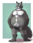  2020 anthro balls belly black_body black_fur black_nose bravo canid canine erection facial_hair fox fur genitals hi_res humanoid_hands male mammal mature_male moobs mustache nipples overweight overweight_male penis simple_background solo white_body white_fur 