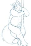  2020 anthro balls belly bravo canid canine dancing disney fox genitals gideon_grey humanoid_hands male mammal navel overweight overweight_male penis pole pole_dancing simple_background sketch solo white_background zootopia 