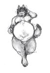  anthro blush brokenbaculum canid canine canis digitigrade fetal_movement male mammal mpreg nude pregnant pregnant_male simple_background solo wolf 