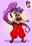 5_fingers blue_eyes clothed clothing colored_nails ear_piercing ear_ring female fingers footwear genie hair hi_res humanoid humanoid_pointy_ears long_hair looking_at_viewer nails not_furry open_mouth open_smile piercing ponytail purple_hair shantae shantae_(series) smile solo video_games wayforward zummeng 