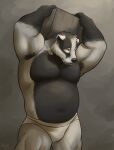  absurd_res anthro armpit_hair badger body_hair cemagcre clothing echo_(series) echo_project european_badger hi_res male mammal meles mustelid musteline nikolai_(the_smoke_room) overweight solo the_smoke_room underwear video_games visual_novel 
