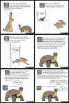  2:3 absurd_res ambiguous_gender dialogue duo english_text feral fur hi_res lagomorph leporid mammal pet_foolery rabbit reptile scales scalie signature simple_background text tortoise turtle white_background 