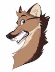  2021 black_nose brown_body brown_fur canid canine fangs fur hi_res mammal maned_wolf open_mouth ribbontini simple_background solo teeth vulpesvant_(character) white_background 