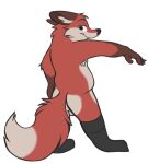  anthro balls barely_visible_balls barely_visible_genitalia canid canine clothing footwear footwear_only fox fur genitals lazarus_(wulfenski) male mammal mostly_nude overweight overweight_male red_body red_fox red_fur socks socks_only solo wulfenski_(artist) 