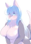  2021 absurd_res anthro big_breasts blue_eyes blue_hair blush breasts canid canine canis curvy_figure dipstick_tail featureless_breasts female fur grey_body grey_fur grey_nose hair half-length_portrait hi_res huge_breasts kemono long_hair mammal multicolored_body multicolored_fur multicolored_tail navel neck_tuft nude open_mouth portrait simple_background solo translucent translucent_hair tuft two_tone_body two_tone_fur ukenya unusual_hair voluptuous white_background white_body white_fur wolf 